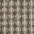 SJ05 サムネイル
