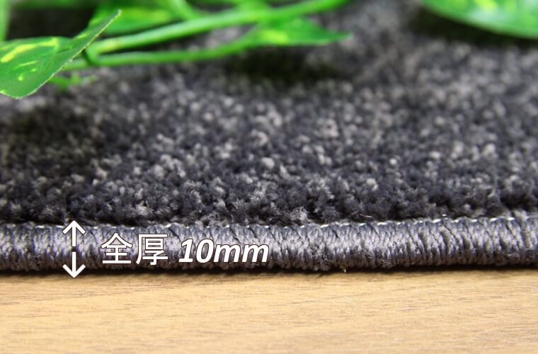 カットパイル:8mm 全厚:10mm