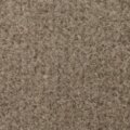 BF27 サムネイル