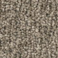 E51 サムネイル