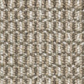 ID252 サムネイル