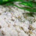 人気の撥水加工 サムネイル