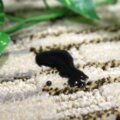 撥水機能 サムネイル