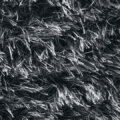 ブラック サムネイル