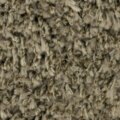 ベージュ サムネイル