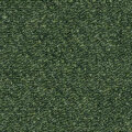 もり サムネイル