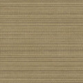 しろちゃ サムネイル