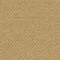 いなほ サムネイル