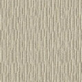 コットン サムネイル