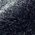 ネイビー サムネイル