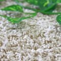 カットパイル:約5~15mm 全厚:約17mm サムネイル