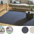 INDIO/インディオ サムネイル