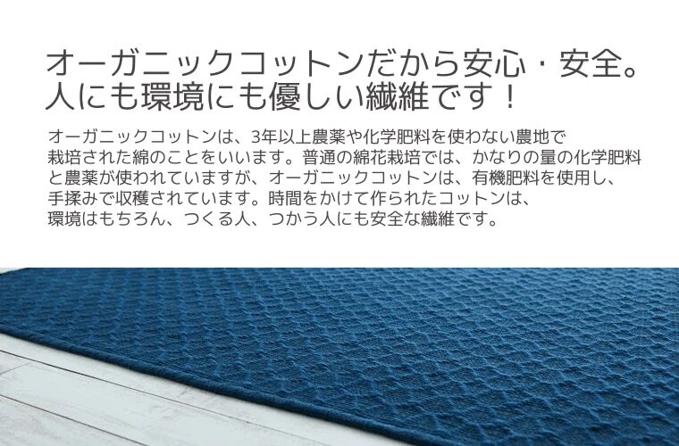 綿(オーガニックコットン)100%
